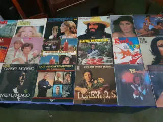 Lote 18 Vinilos Clásicos