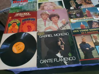 Lote 18 Vinilos Clásicos