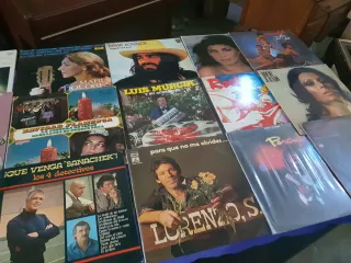 Lote 18 Vinilos Clásicos