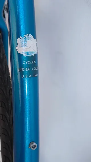 Cuadro carbono Didier Louis - Aegis, Racing Bik