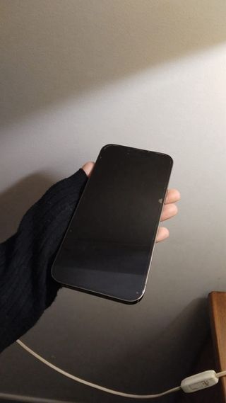 Iphone 13 prox max 256gb