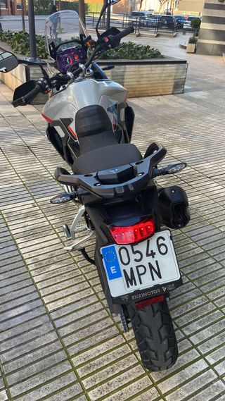 Triumph Tiger 900 Rally Pro Negra/Roja