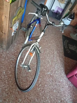 Bicicleta Zephyr City Road Vintage