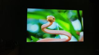 Proyector Wimius P62 4K Cine en Casa