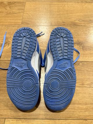 Nike Dunk Low Next Nature 37.5