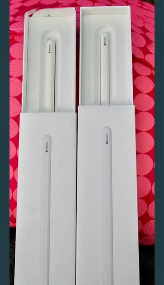 iPad mini 6 64GB + 2 Apple Pencil + 2 fundas