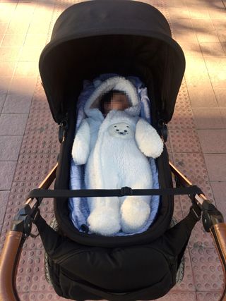 Cochecito Ickle Buba Bronce y Negro