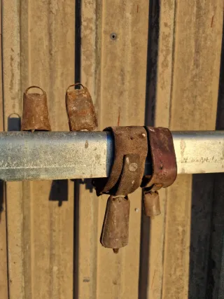 Cencerros de todos los tamaños