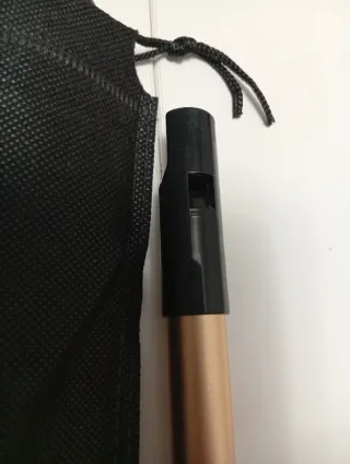 Flauta irlandesa en RE