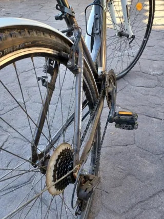 Bicicleta para damas