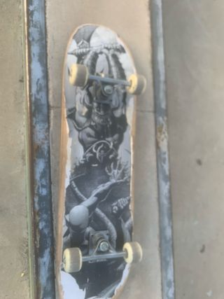 Skate Board con Diseño Gráfico