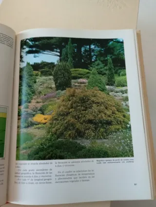 Colección de 12 libros Flora años 1970