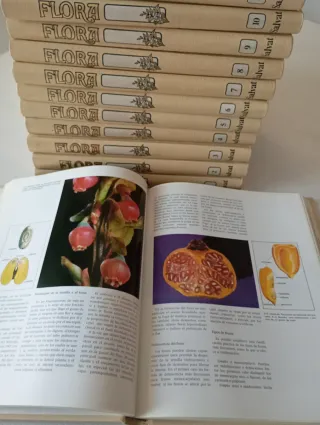 Colección de 12 libros Flora años 1970