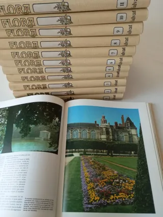 Colección de 12 libros Flora años 1970