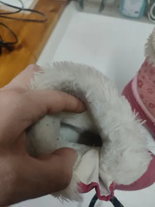 Botas de nieve niña talla 24