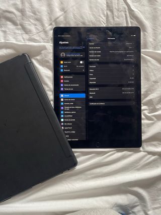 iPad Pro 12.9 2ª Gen Plata