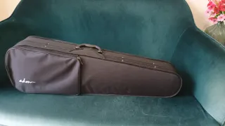 Violín para principiantes con accesorios