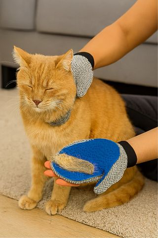 NUEVO! Pack 2 guantes cuidado de mascotas nuevas