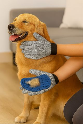 NUEVO! Pack 2 guantes cuidado de mascotas nuevas