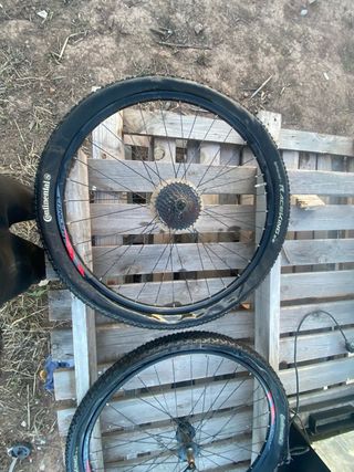 Ruedas Continental Race King 29