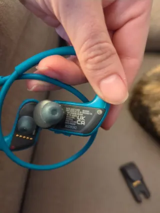 Auriculares Sony Walkman NW-WS410 Piscina