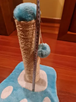 Accesorios Gatos: Rascador, Juguetes, Comedero...