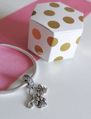 CHARM HUELLA PERRO GATO INFINIT PARA PANDORA CAJA