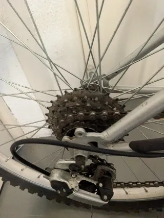 Bicicleta Cup's Kiddy 24 - 18 velocidades