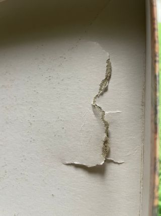 pc big box indiana jones fate atlantis italiano