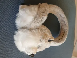 Orejeras de lobo para el frío