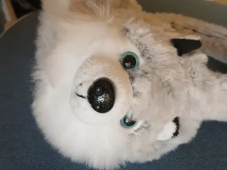 Orejeras de lobo para el frío