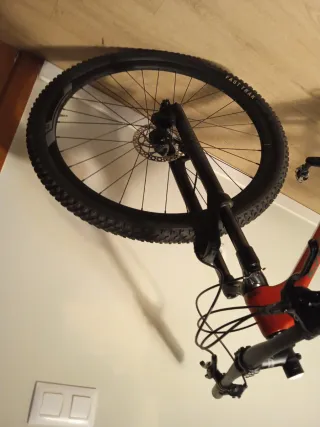 Megamo 30 2022 Carbono MTB