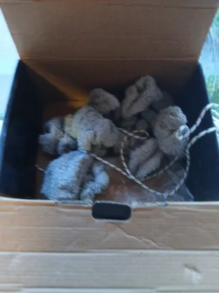 Conga Limpiacristales Robot Cecotec