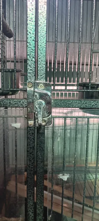 Jaula grande para pájaros