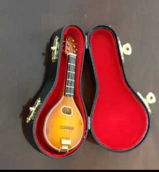 Mandolina en estuche