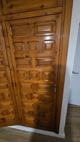 Puertas de armario de madera