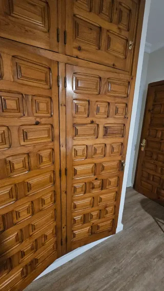 Puertas de armario de madera