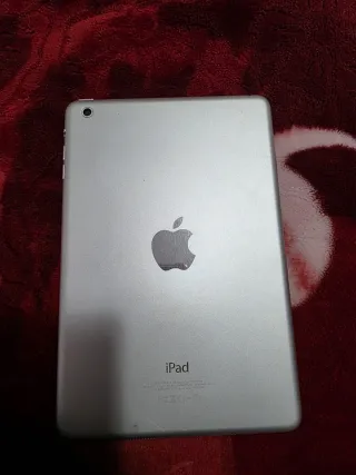Apple iPad Plata
