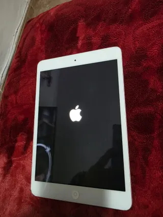 Apple iPad Plata