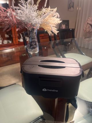 Fiambrera eléctrica Mandine