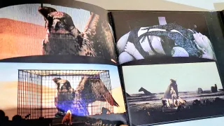 CD+DVD - MADONNA - The Confessions Tour