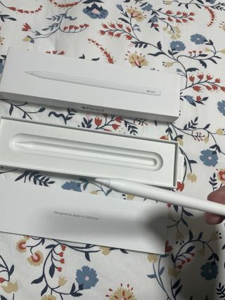 Apple Pencil USB-C