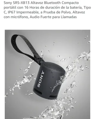 Altavoz Sony Negro Portátil