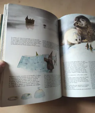 Libro "La llamada de los Gnomos" 1a edición 1982