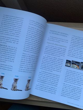 Iniciación a la fotografía digital