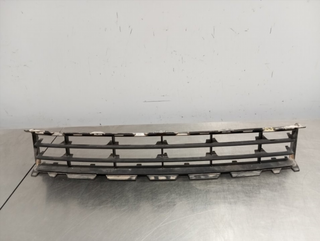 REJILLA PARAGOLPES CENTRAL RENAULT MEGANE II BERL