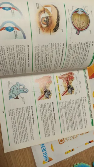 Libros naturaleza 6 egb