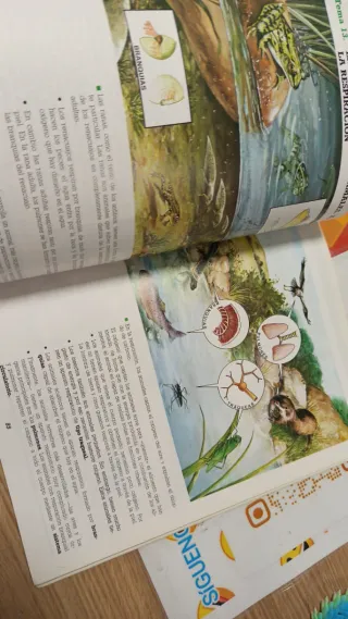 Libros naturaleza 6 egb