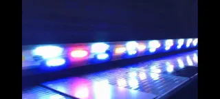 Pantalla LED Acuario 180cm