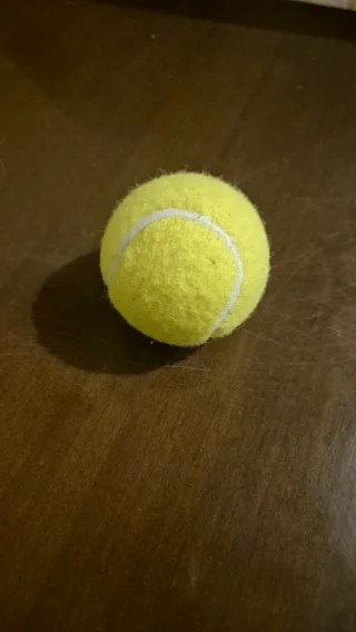 Kit Tennis Bambini Racchette e Pallina